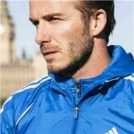앨리스